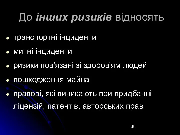 До інших ризиків відносять транспортні інциденти митні інциденти ризики пов'язані зі здоров'ям людей