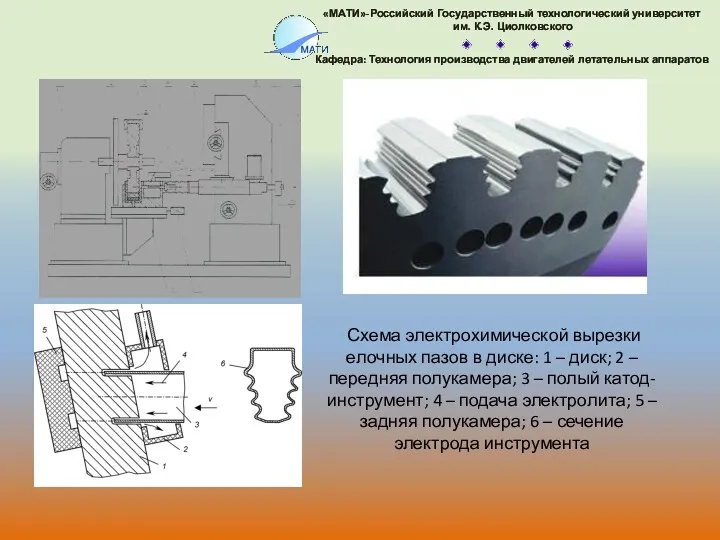 Схема электрохимической вырезки елочных пазов в диске: 1 – диск;