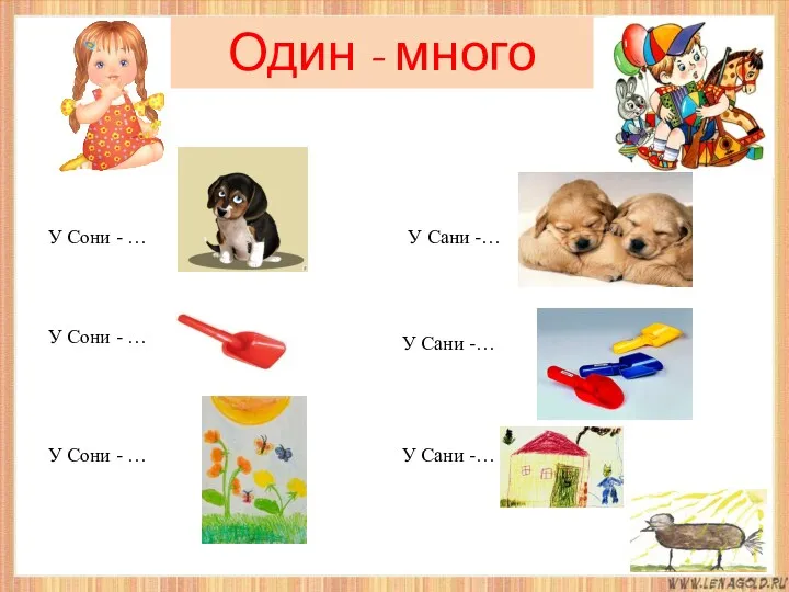 Один - много У Сани -… У Сани -… У