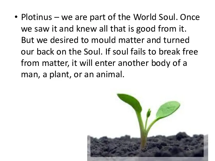 Plotinus – we are part of the World Soul. Once
