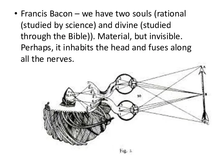 Francis Bacon – we have two souls (rational (studied by