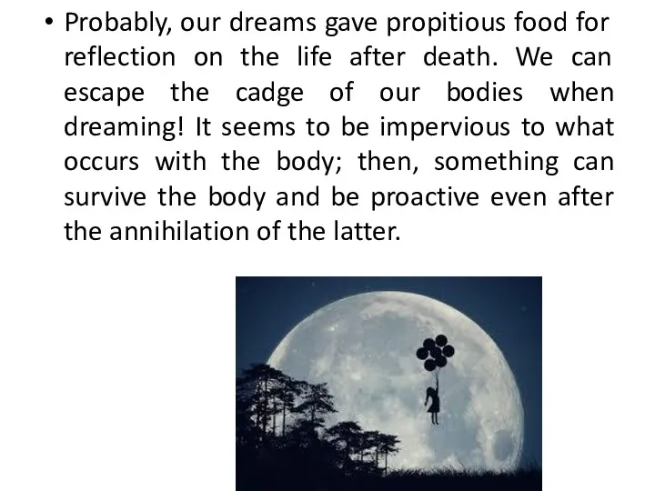 Probably, our dreams gave propitious food for reflection on the