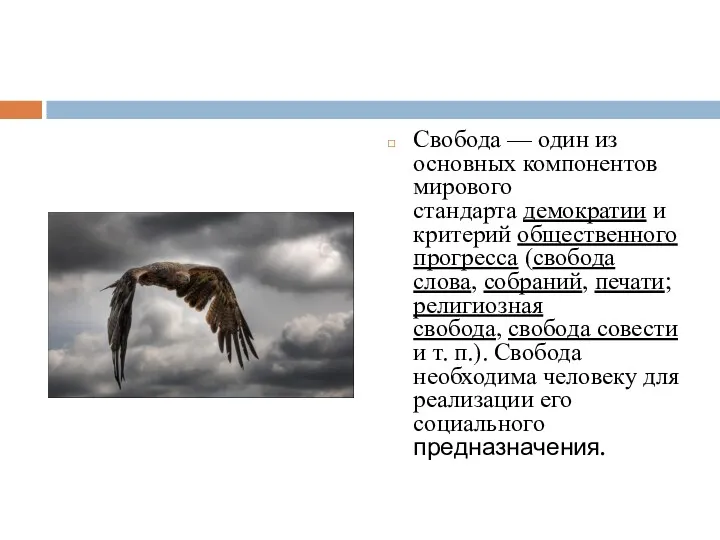 Свобода — один из основных компонентов мирового стандарта демократии и