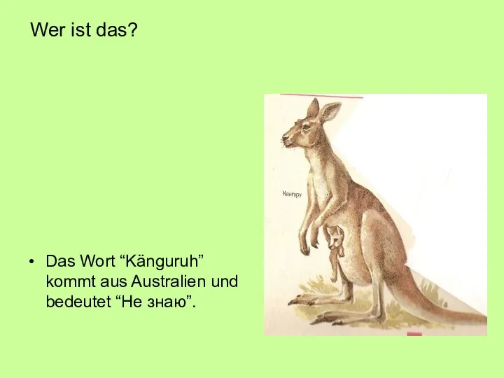 Wer ist das? Das Wort “Känguruh” kommt aus Australien und bedeutet “Не знаю”.