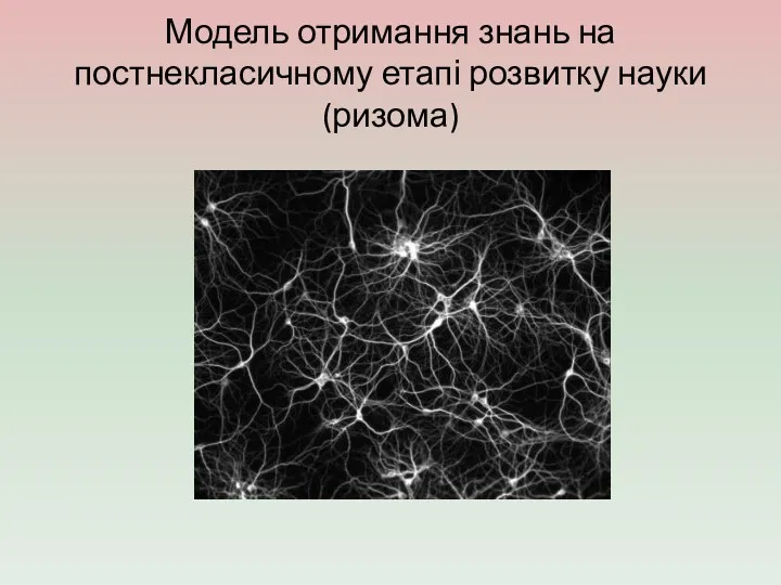 Модель отримання знань на постнекласичному етапі розвитку науки (ризома)