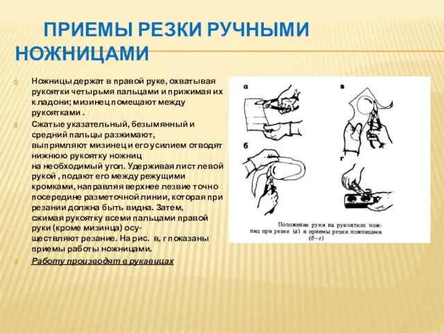 ПРИЕМЫ РЕЗКИ РУЧНЫМИ НОЖНИЦАМИ Ножницы держат в правой руке, охватывая рукоятки четырьмя пальцами