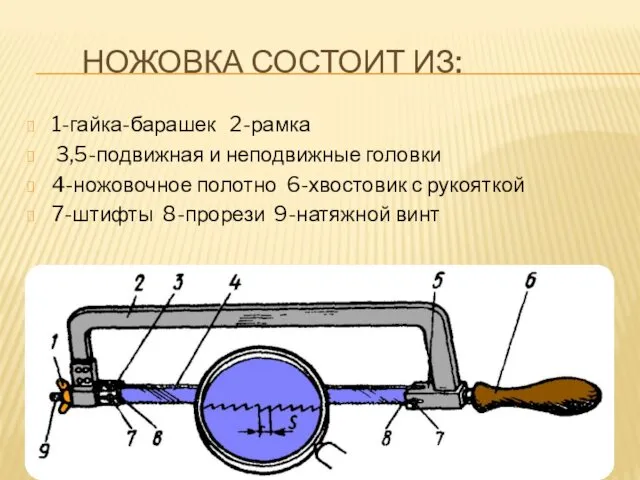 НОЖОВКА СОСТОИТ ИЗ: 1-гайка-барашек 2-рамка 3,5-подвижная и неподвижные головки 4-ножовочное полотно 6-хвостовик с