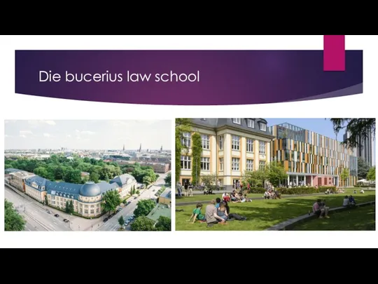 Die bucerius law school