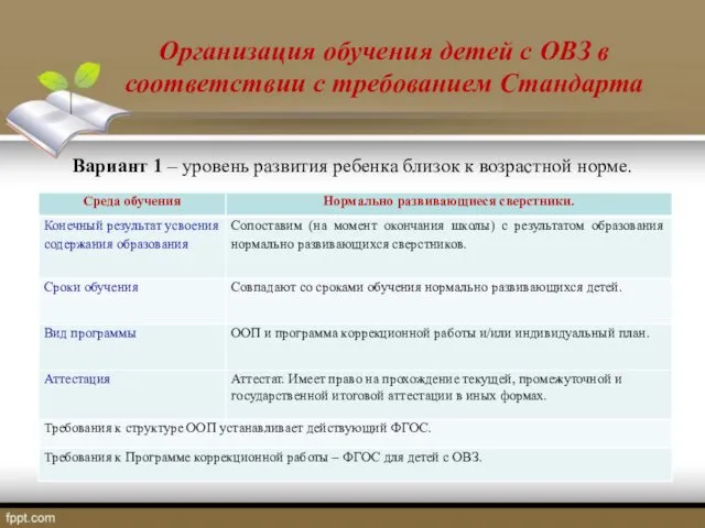 Организация обучения детей с ОВЗ в соответствии с требованием Стандарта