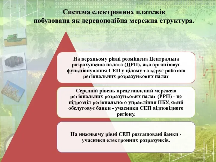 Система електронних платежів побудована як деревоподібна мережна структура.