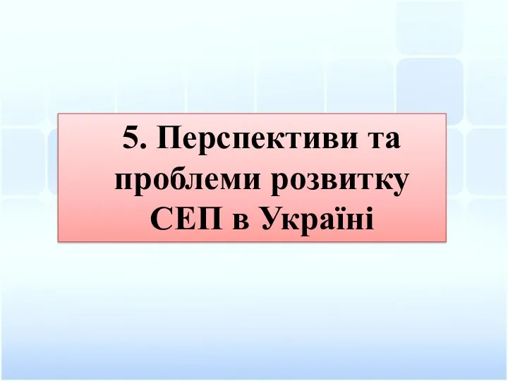 5. Перспективи та проблеми розвитку СЕП в Україні