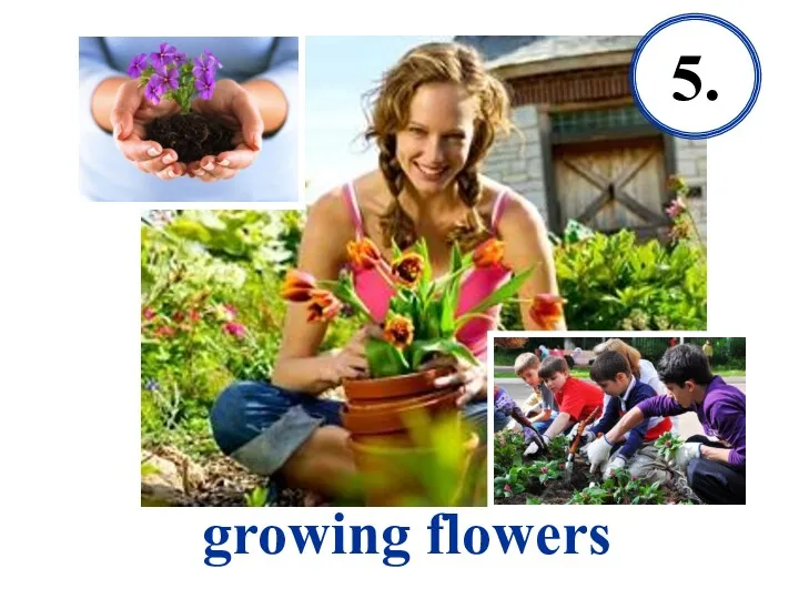 growing flowers 5.