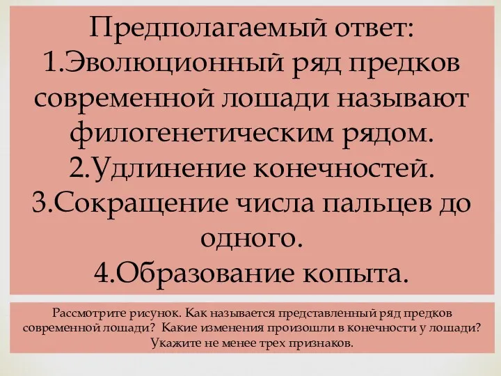 Рассмотрите рисунок. Как называется представленный ряд предков современной лошади? Какие