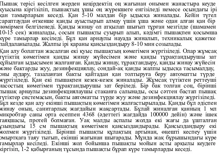 Пышақ терісі кесілген жерден кеңірдектің оң жағынан онымен жанастыра кеуде