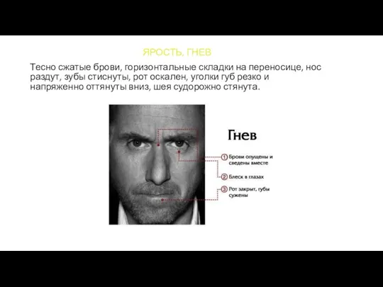 ЯРОСТЬ, ГНЕВ Тесно сжатые брови, горизонтальные складки на переносице, нос