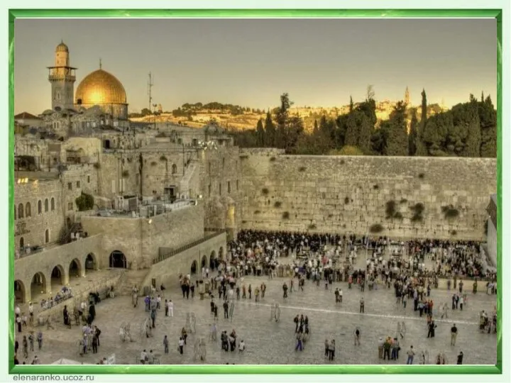 Арабы , видя, что евреи приходят к стене молиться Всевышнему