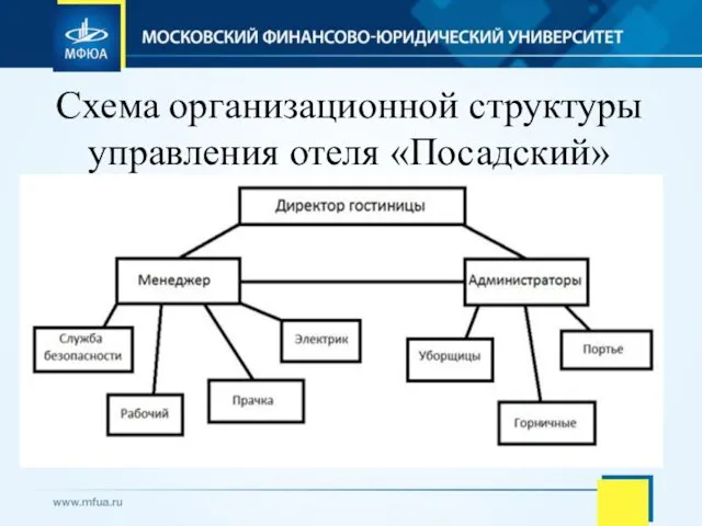 Схема организационной структуры управления отеля «Посадский»