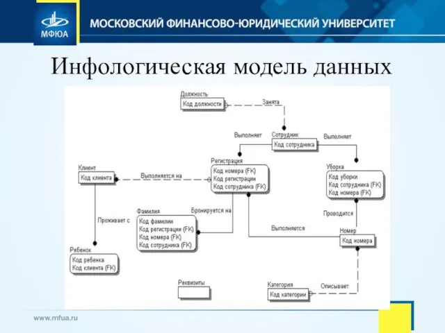 Инфологическая модель данных