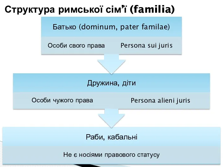 Структура римської сім’ї (familia)