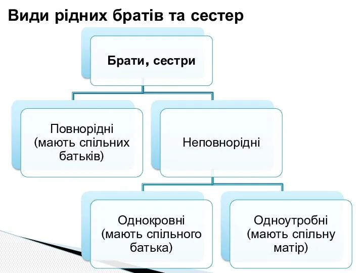 Види рідних братів та сестер