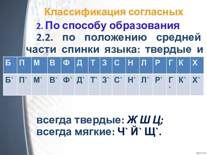 Классификация согласных 2. По способу образования 2.2. по положению средней