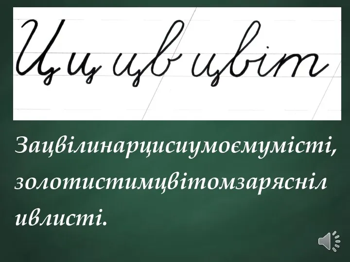 Зацвілинарцисиумоємумісті,золотистимцвітомзарясніливлисті.