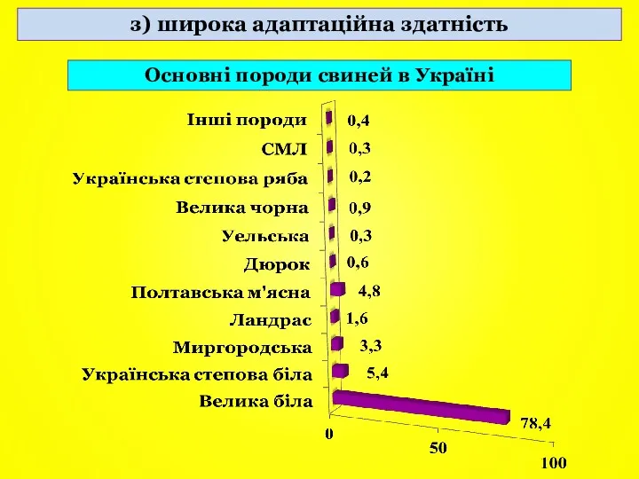 Основні породи свиней в Україні з) широка адаптаційна здатність