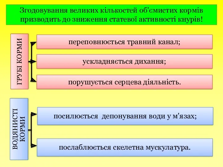 Згодовування великих кількостей об'ємистих кормів призводить до зниження статевої активності кнурів!