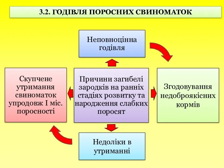 3.2. ГОДІВЛЯ ПОРОСНИХ СВИНОМАТОК