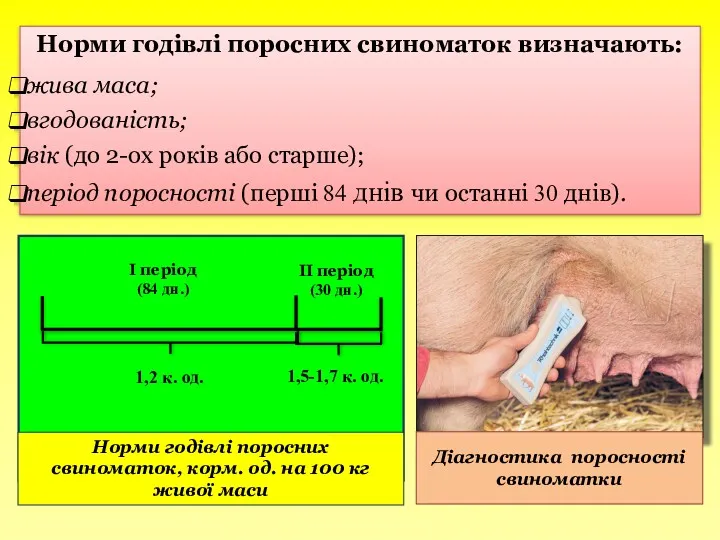 Норми годівлі поросних свиноматок визначають: жива маса; вгодованість; вік (до