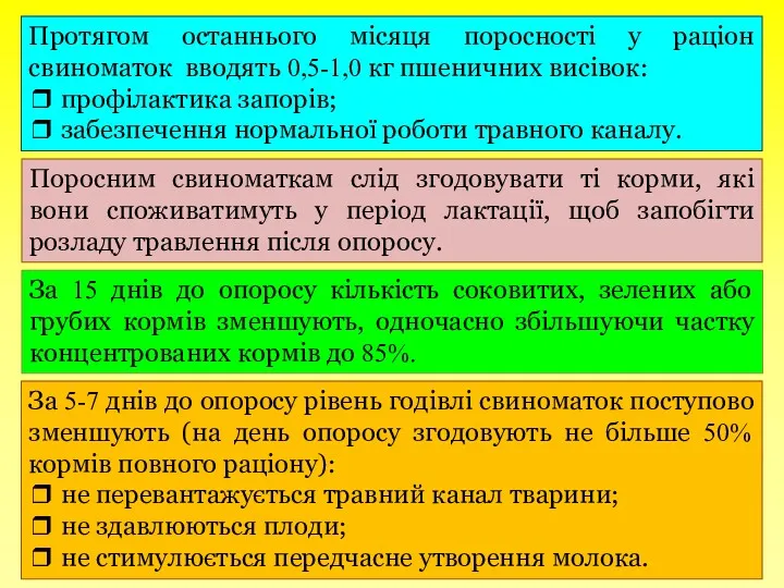 Протягом останнього місяця поросності у раціон свиноматок вводять 0,5-1,0 кг