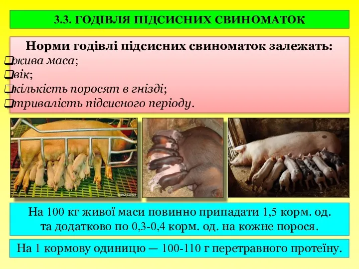 3.3. ГОДІВЛЯ ПІДСИСНИХ СВИНОМАТОК Норми годівлі підсисних свиноматок залежать: жива