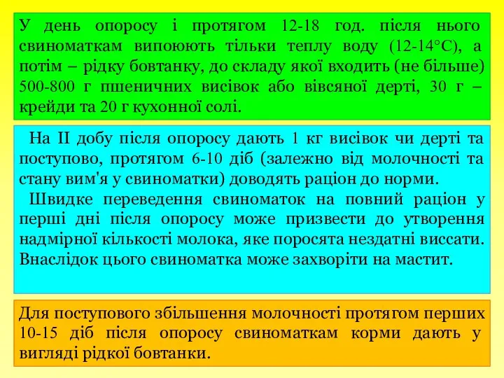 У день опоросу і протягом 12-18 год. після нього свиноматкам