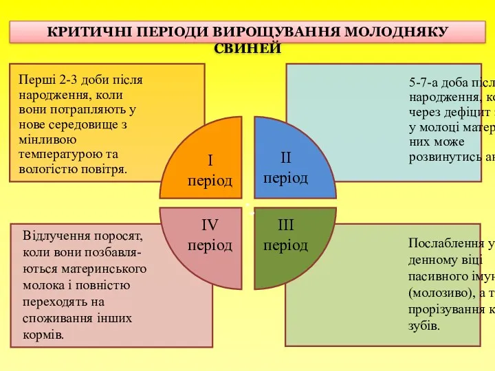 КРИТИЧНІ ПЕРІОДИ ВИРОЩУВАННЯ МОЛОДНЯКУ СВИНЕЙ