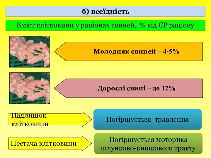 б) всеїдність Вміст клітковини у раціонах свиней, % від СР раціону