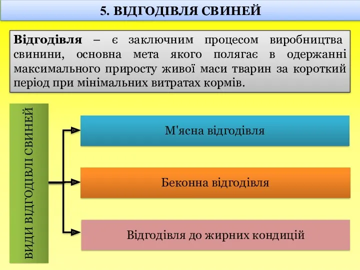 5. ВІДГОДІВЛЯ СВИНЕЙ Відгодівля – є заключним процесом виробництва свинини,