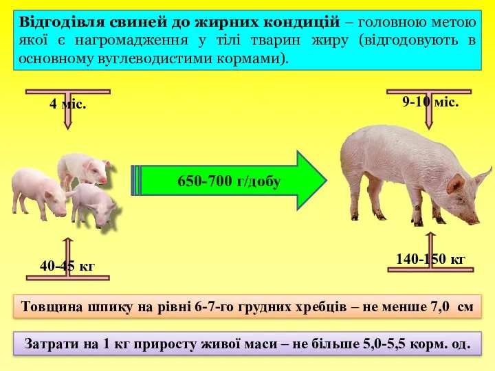 650-700 г/добу 9-10 міс. 4 міс. 40-45 кг 140-150 кг