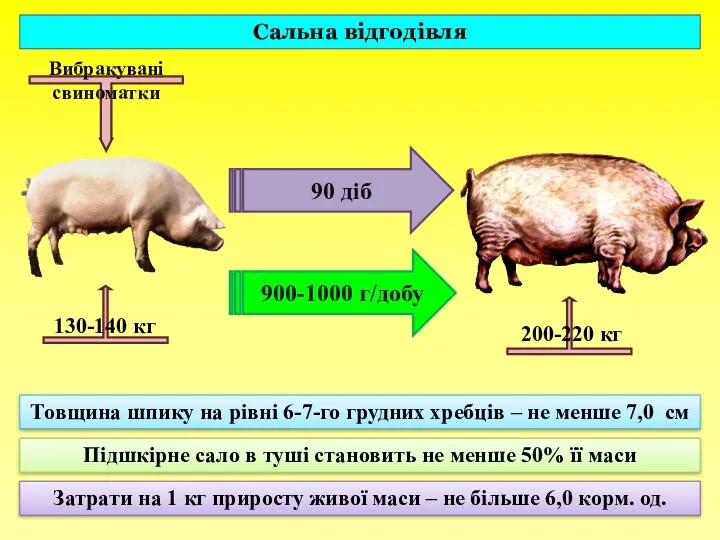 Вибракувані свиноматки 900-1000 г/добу 200-220 кг Товщина шпику на рівні