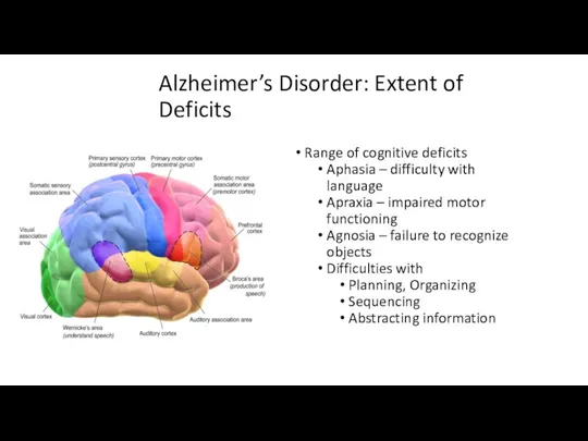 Alzheimer’s Disorder: Extent of Deficits Range of cognitive deficits Aphasia