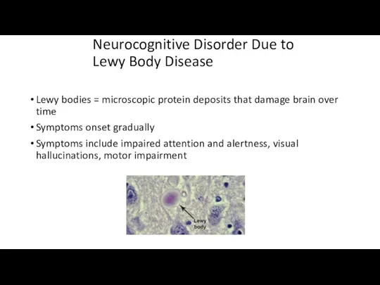 Neurocognitive Disorder Due to Lewy Body Disease Lewy bodies =