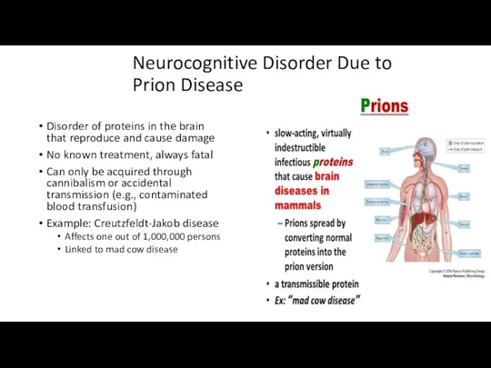 Neurocognitive Disorder Due to Prion Disease Disorder of proteins in