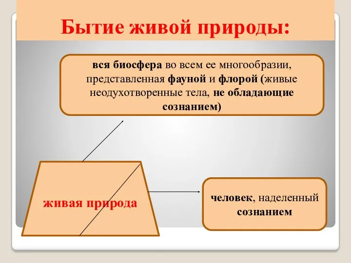 Бытие живой природы: живая природа вся биосфера во всем ее