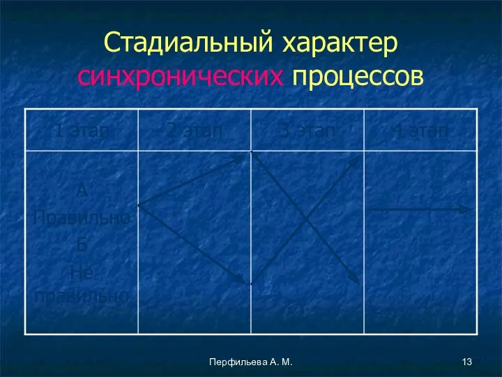 Перфильева А. М. Стадиальный характер синхронических процессов