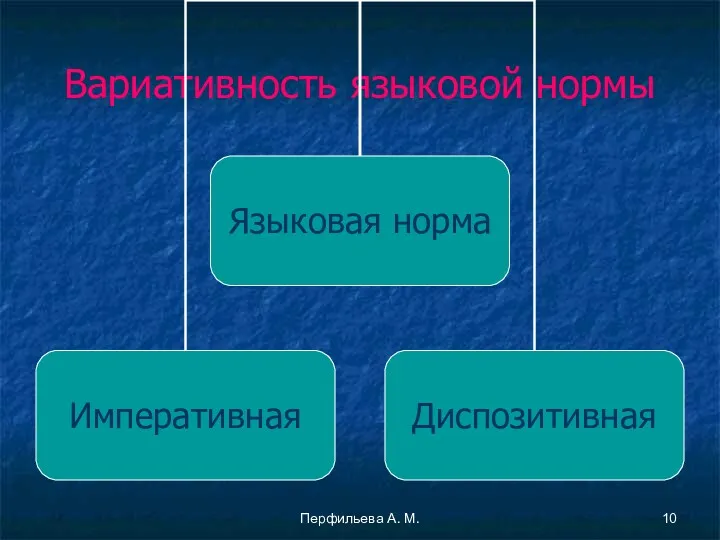 Перфильева А. М. Вариативность языковой нормы