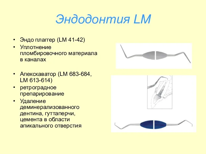 Эндодонтия LM Эндо плаггер (LM 41-42) Уплотнение пломбировочного материала в