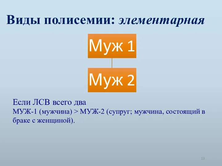 Виды полисемии: элементарная Если ЛСВ всего два МУЖ-1 (мужчина) >