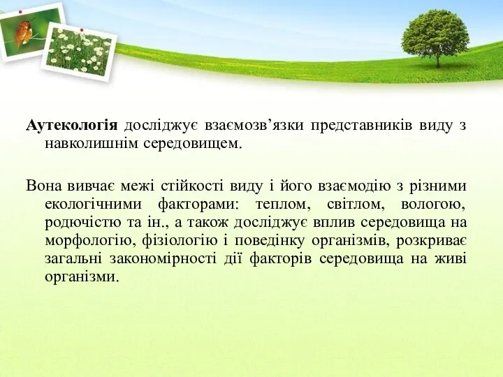 Аутекологія досліджує взаємозв’язки представників виду з навколишнім середовищем. Вона вивчає