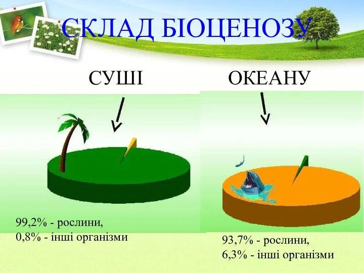 СКЛАД БІОЦЕНОЗУ СУШІ ОКЕАНУ 99,2% - рослини, 0,8% - інші