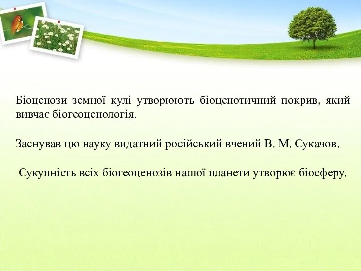 Біоценози земної кулі утворюють біоценотичний покрив, який вивчає біогеоценологія. Заснував