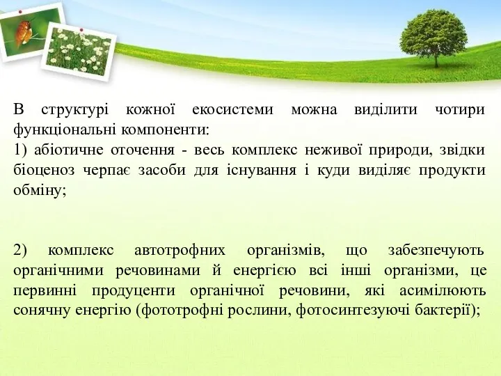 В структурі кожної екосистеми можна виділити чотири функціональні компоненти: 1)